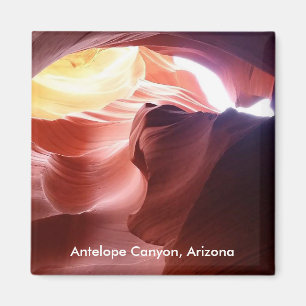 キッチン マグネット