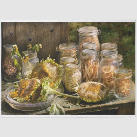 キッチン – 救の種 薄葉紙 (正面)