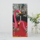 キッチー・クリストマ (スタンド正面)