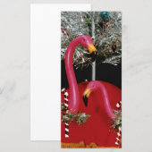 キッチー・クリストマ (正面/裏面)