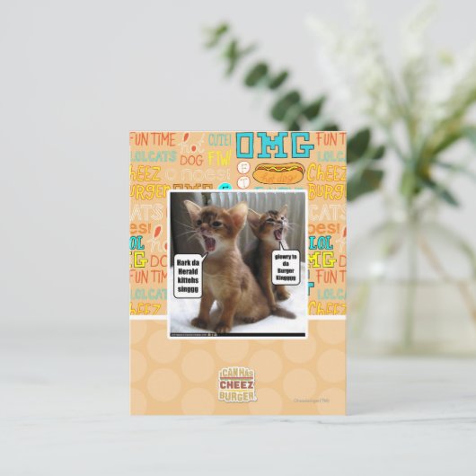 キッテカロル ポストカード (スタンド正面)