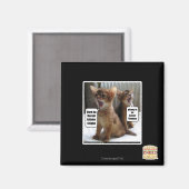 キッテカロル マグネット (正面/裏面)