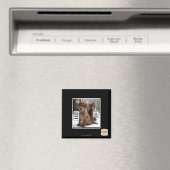 キッテカロル マグネット (インサイチュ (食洗機))