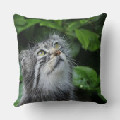 キッテンことわざA祈りの言葉 クッション (裏面)