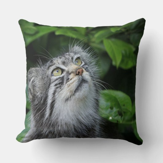 キッテンことわざA祈りの言葉 クッション (正面)