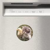 キッテンとベビーシック マグネット (インサイチュ (食洗機))