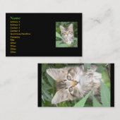 キッテンの名刺 名刺 (正面/裏面)