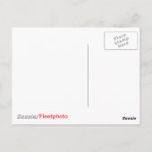 キッテンの女王(Kitten's Queen by Kitten's Joy) ポストカード (裏面)