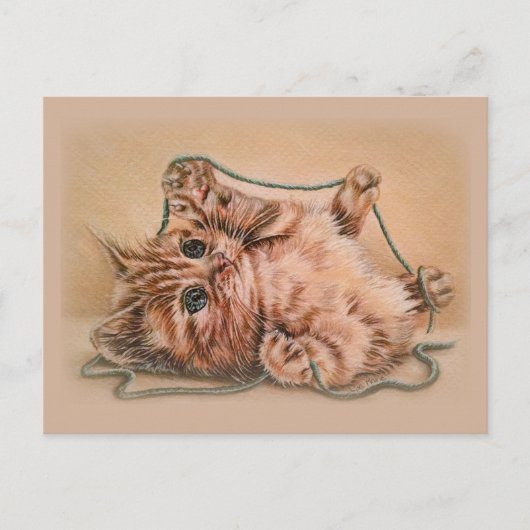 キッテンウィズヤーンスケッチ、ペットの猫アートイラストレーション ポストカード (正面)
