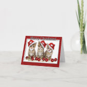 キッテンサンタスクリスマスノートカード シーズンカード (正面)