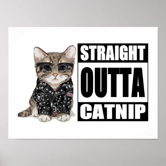 キッテンストレートアウトタカニップ ポスター (正面)