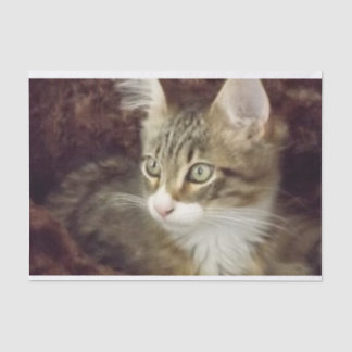 キッテンデコップ紙クラフト家具キャット 薄葉紙