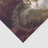 キッテンデコップ紙クラフト家具キャット 薄葉紙 (詳細)