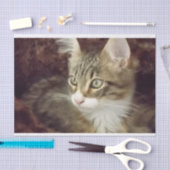 キッテンデコップ紙クラフト家具キャット 薄葉紙 (クラフト)