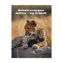 キッテンハート