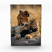 キッテンハート フォトブロック (正面)