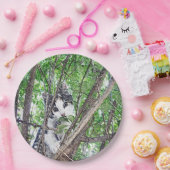 キッテンペンシルスケッチ、紙プレート ペーパープレート (パーティー)