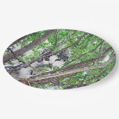 キッテンペンシルスケッチ、紙プレート ペーパープレート (アングル)