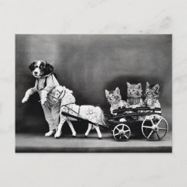 キッテンポニーライド3 ポストカード