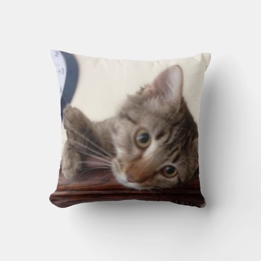 キッテンポートレート クッション (正面)