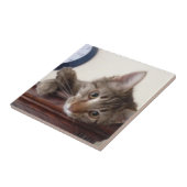 キッテンポートレート タイル (側面)