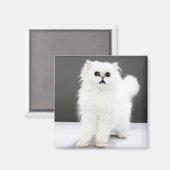 キッテンポートレート マグネット (正面/裏面)