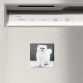 キッテンポートレート マグネット (インサイチュ (食洗機))