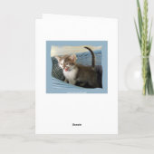 キッテン熱狂するベレート誕生日 カード (裏面)