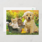 キッテン&ゴールデンリトリーバーワンピードッグ空白のはがき ポストカード (正面/裏面)