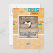 キッテー確率の法則 ポストカード (正面/裏面)