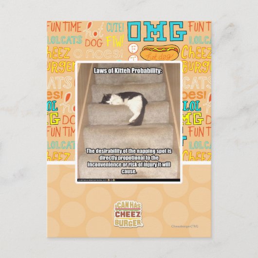 キッテー確率の法則 ポストカード (正面)