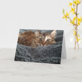 キットグリーティングカード#1 カード (黄色い花)