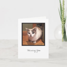 キットコレクション#1 カード