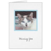 キットコレクション#3ノートカード