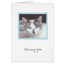 キットコレクション#3ノートカード