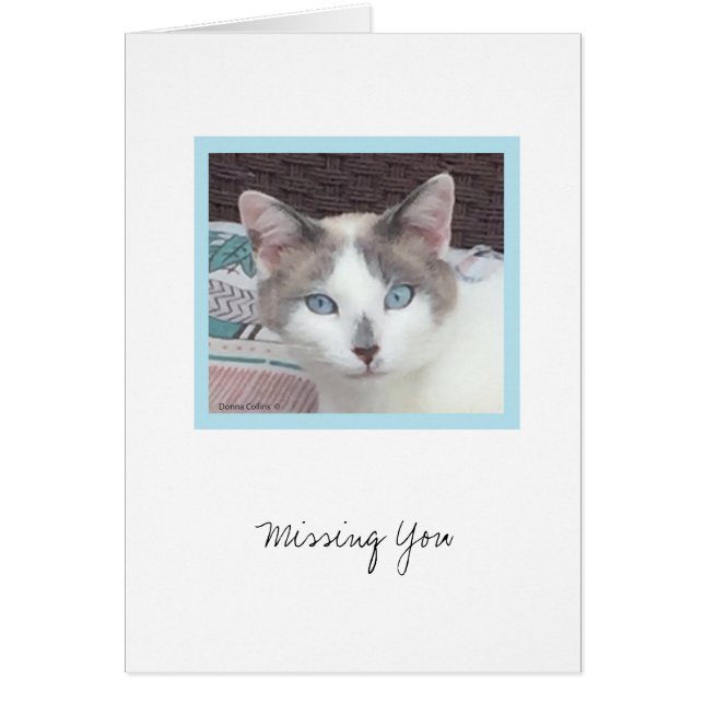 キットコレクション#3ノートカード (正面)