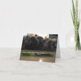 キットノテカード#2 カード