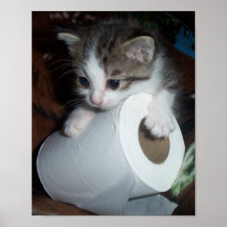 キットペーパー ポスター