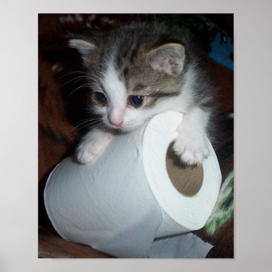 キットペーパー ポスター (正面)