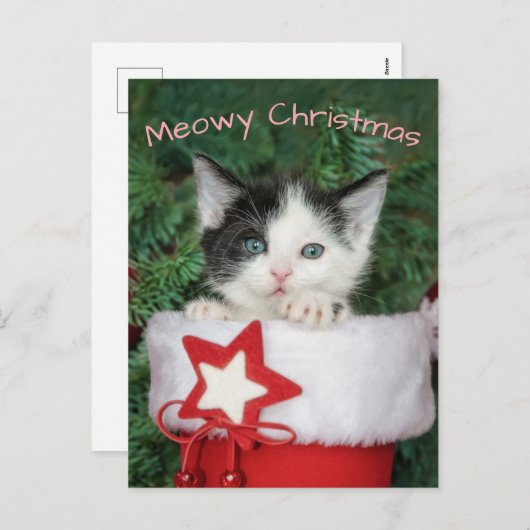 キットンサンタクロースのブーツストッキングマイオウィクリスマス – シーズンポストカード (正面/裏面)