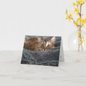 キットンノテカード#1 カード (黄色い花)