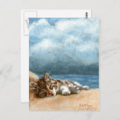 キットンビーチストームポストカード ポストカード (正面/裏面)