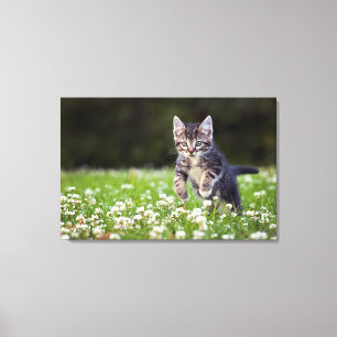 キットンランニングズスルークローバー キャンバスプリント