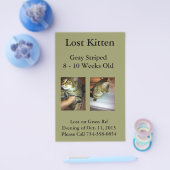 キットン失ったフライヤー チラシ (シングル)