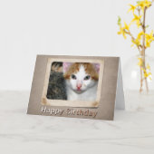 キットン誕生日カード カード (黄色い花)