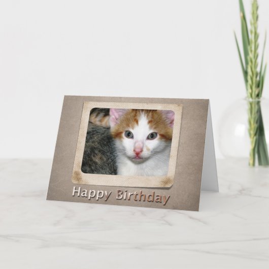 キットン誕生日カード カード (正面)