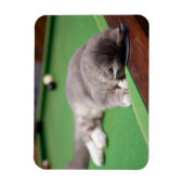 キットン遊ズプール マグネット (縦)