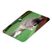 キットン遊ズプール マグネット (左側)