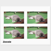 キットン遊ズプール 長方形シール (シート)