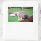 キットン遊ズプール 長方形シール (バッグ)